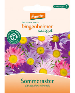 Bingenheimer Saatgut - Sommeraster | Miraherba Bio Garten