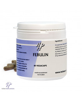 Holisan - Febulin - 60 capsules | Miraherba Ayurveda
