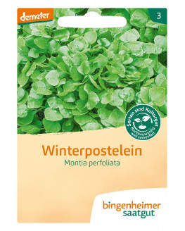 Bingenheimer Saatgut - Winterpostelein - 1g | Piante di Miraherba