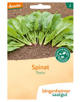 Bingenheimer Saatgut - Spinach Thorin | Miraherbas plants