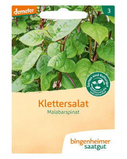 Bingenheimer Saatgut - Klettersalat | Miraherba Pflanzen